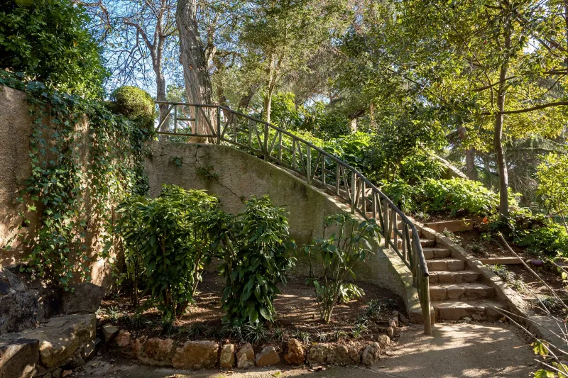Verde a escondidas: los jardines secretos de Barcelona que la ciudad cultiva para sí misma