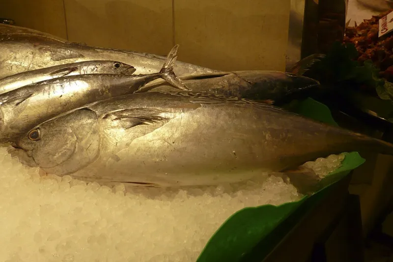 De la Boqueria al mercado de la Llibertat: cómo comer Barcelona parada a parada